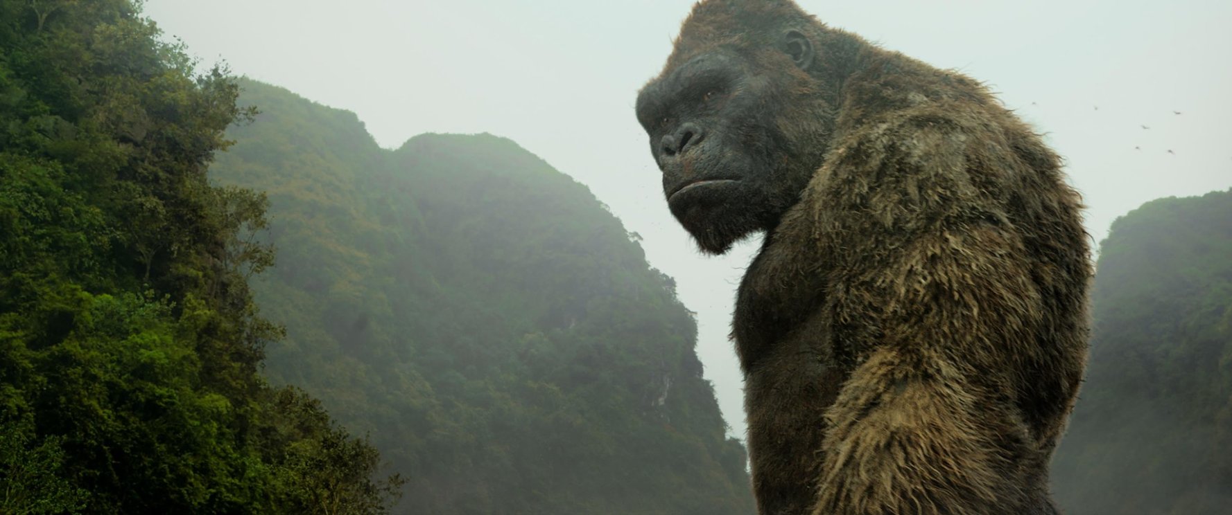 Filming Locations Of Kong Skull Island Hunting Scenic Landscapes